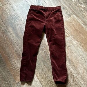 LOFT Velvet-Like Pants